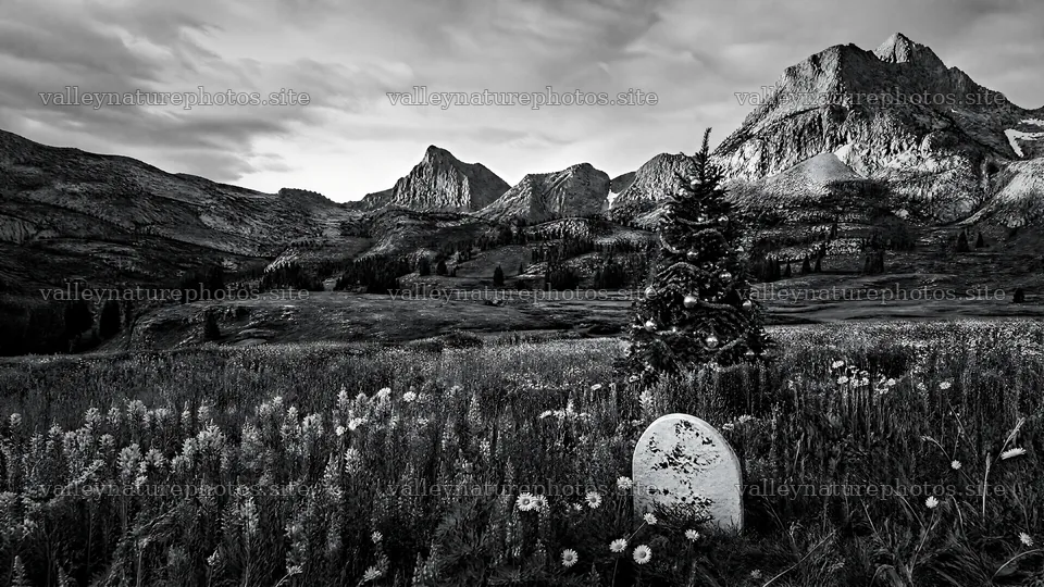 Christmas tree in mountain valley meadow – nature photography 10584x5952