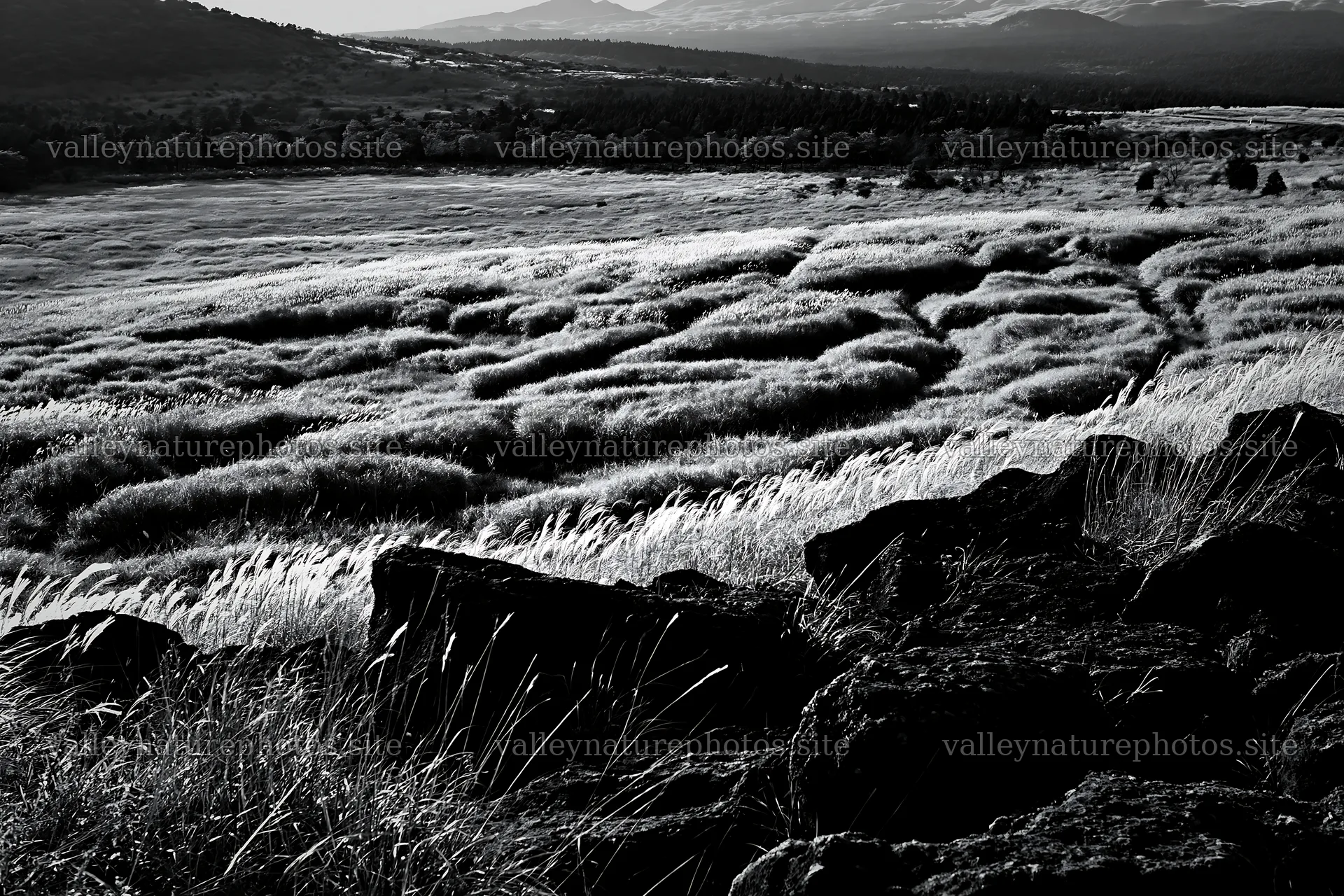 Kumamoto volcanic meadow dark rock foreground with grassy hills – nature photography 9722x6480