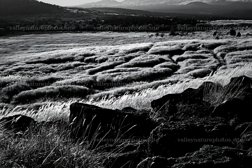 Kumamoto volcanic meadow dark rock foreground with grassy hills – nature photography 9722x6480