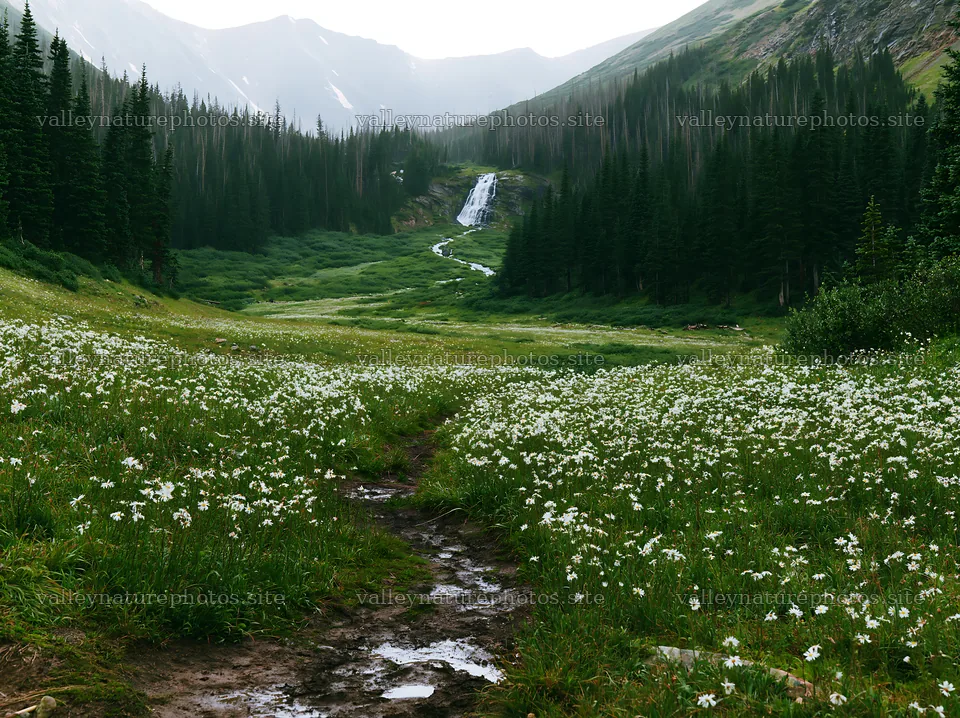 Misty mountain waterfall in a meadow with wildflowers – nature photography 9174x6866