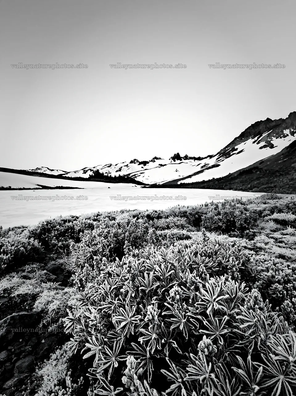 Frozen tarn meadow in winter landscape with snow-capped mountains – nature photography 6866x9174