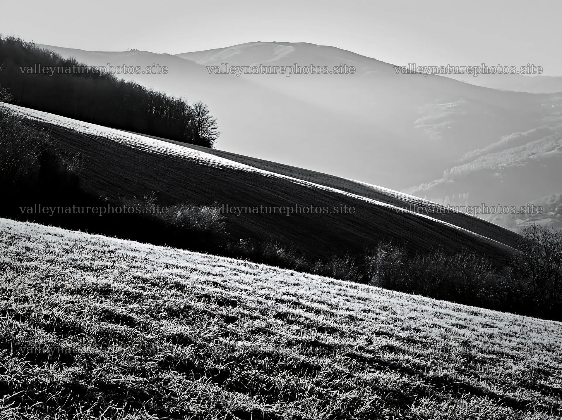 Frost-covered meadow with distant hills and trees – nature photography 9174x6866