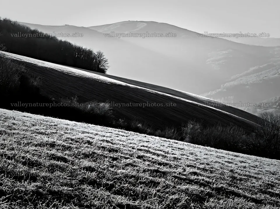 Frost-covered meadow with distant hills and trees – nature photography 9174x6866