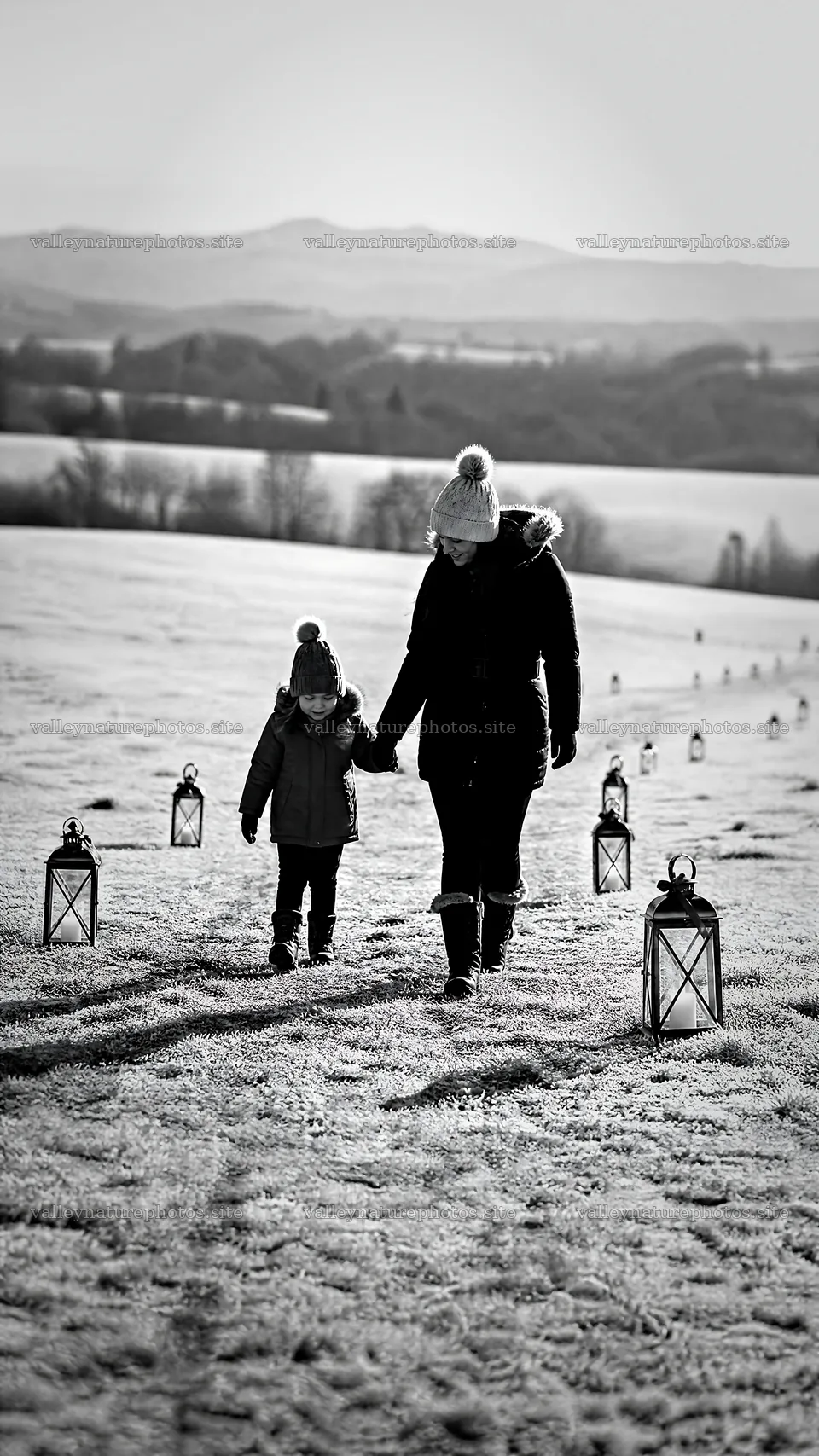 Walk through a meadow with Christmas lanterns during daylight – nature photography 5952x10584