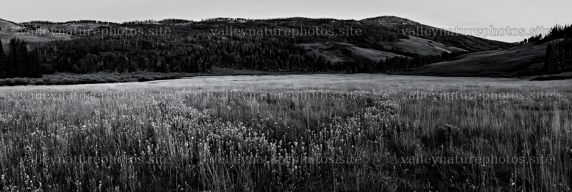 Christmas lights along mountain valley meadow – nature photography 13690x4602