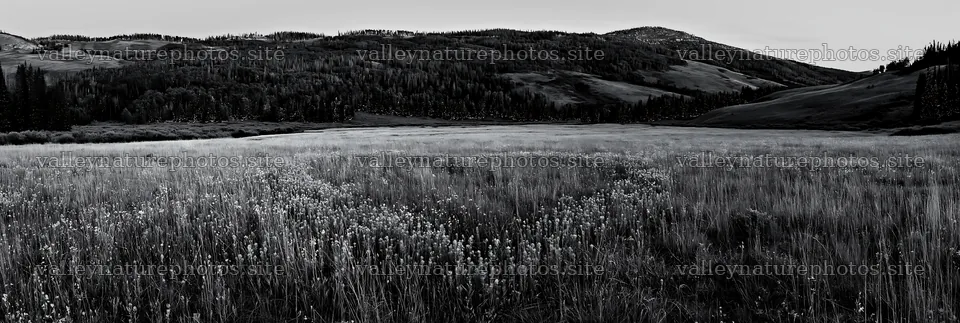 Christmas lights along mountain valley meadow – nature photography 13690x4602