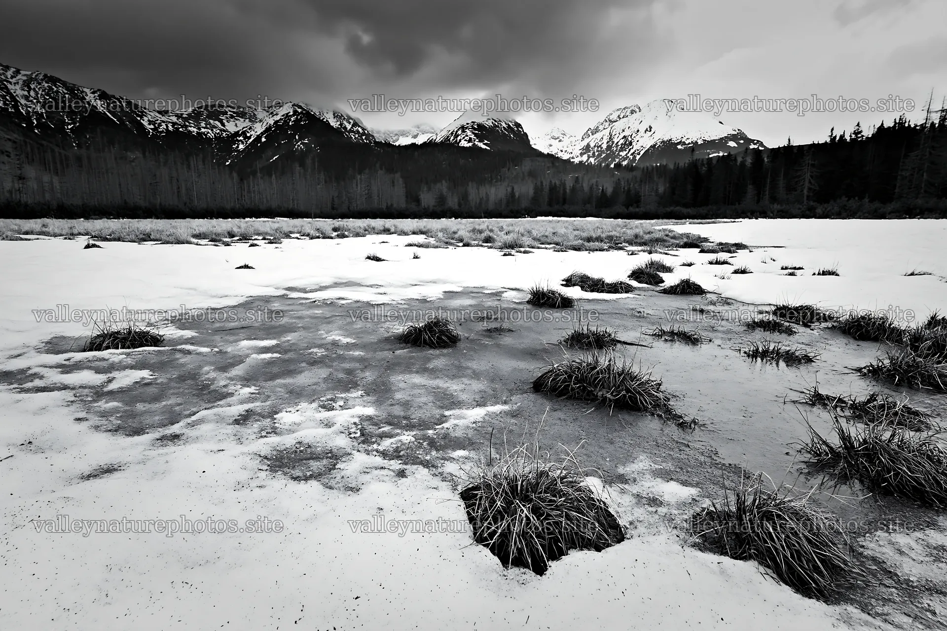 Spring snowmelt in Tatra mountains meadow with patches of grass – nature photography 9722x6480