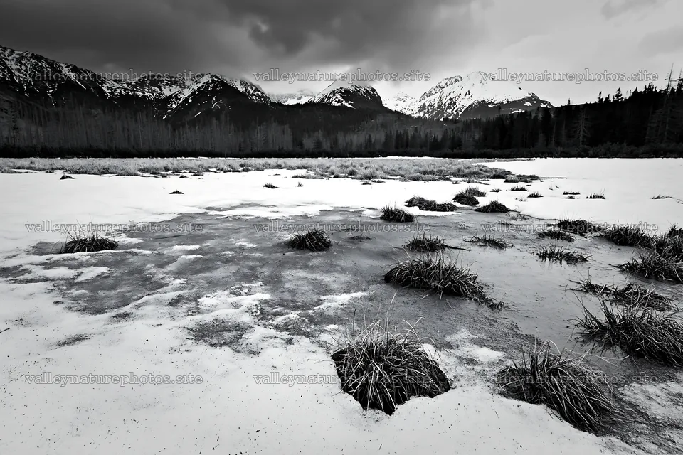 Spring snowmelt in Tatra mountains meadow with patches of grass – nature photography 9722x6480