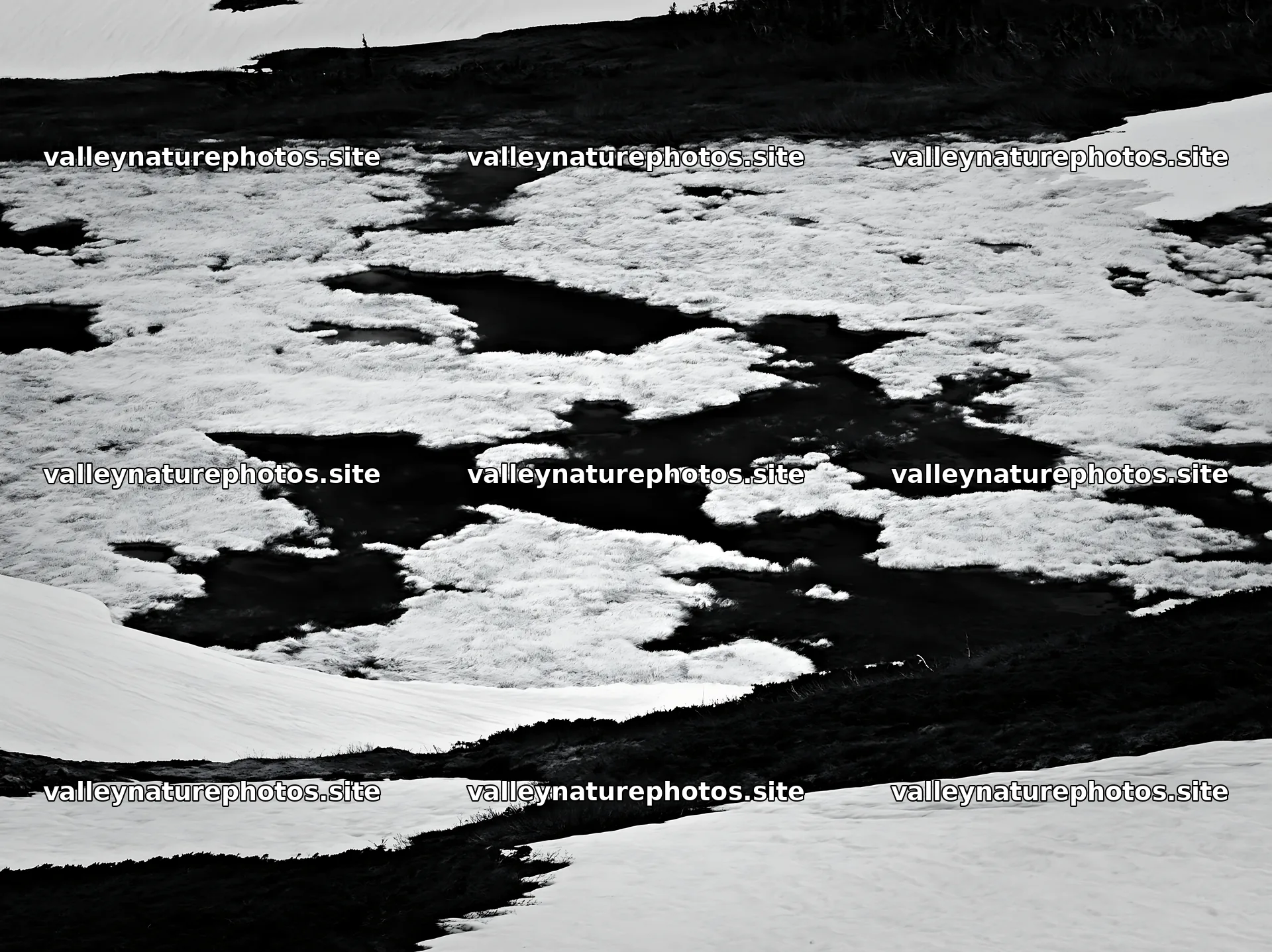 Akita snowmelt meadow with silver grasses under clear sky – nature photography 9174x6866