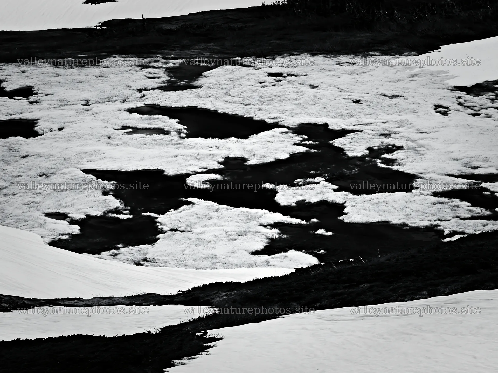 Akita snowmelt meadow with silver grasses under clear sky – nature photography 9174x6866