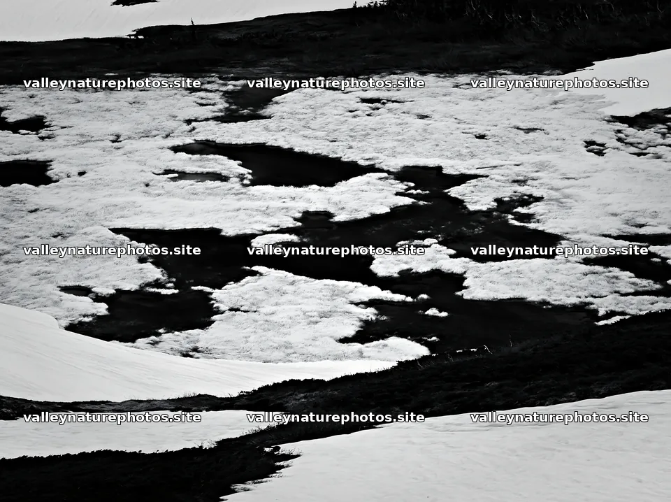 Akita snowmelt meadow with silver grasses under clear sky – nature photography 9174x6866