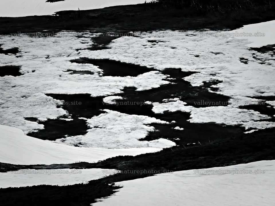 Akita snowmelt meadow with silver grasses under clear sky – nature photography 9174x6866