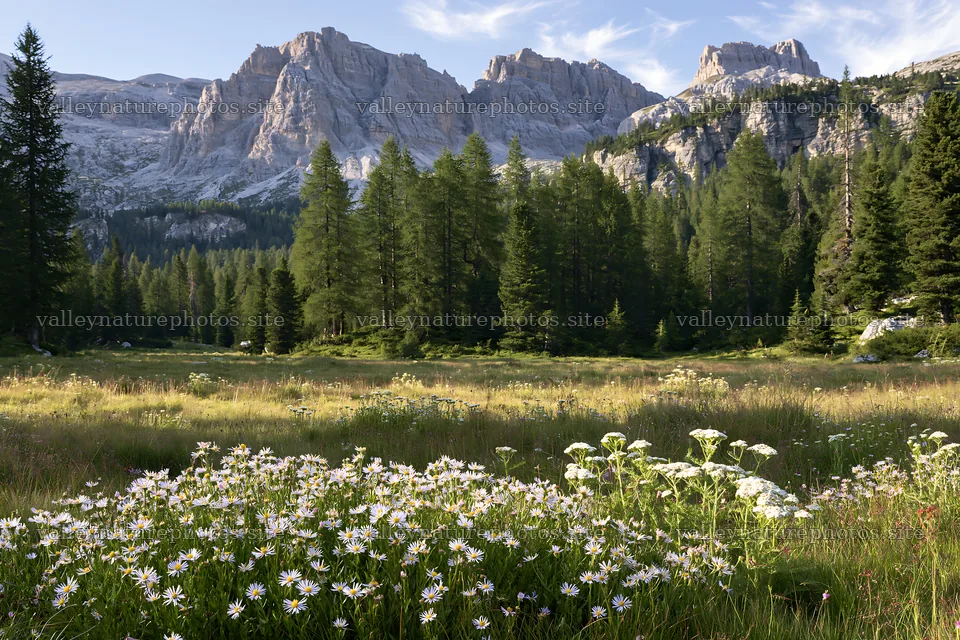 Crepuscular rays meadow with flowers and mountains in background – nature photography 9722x6480