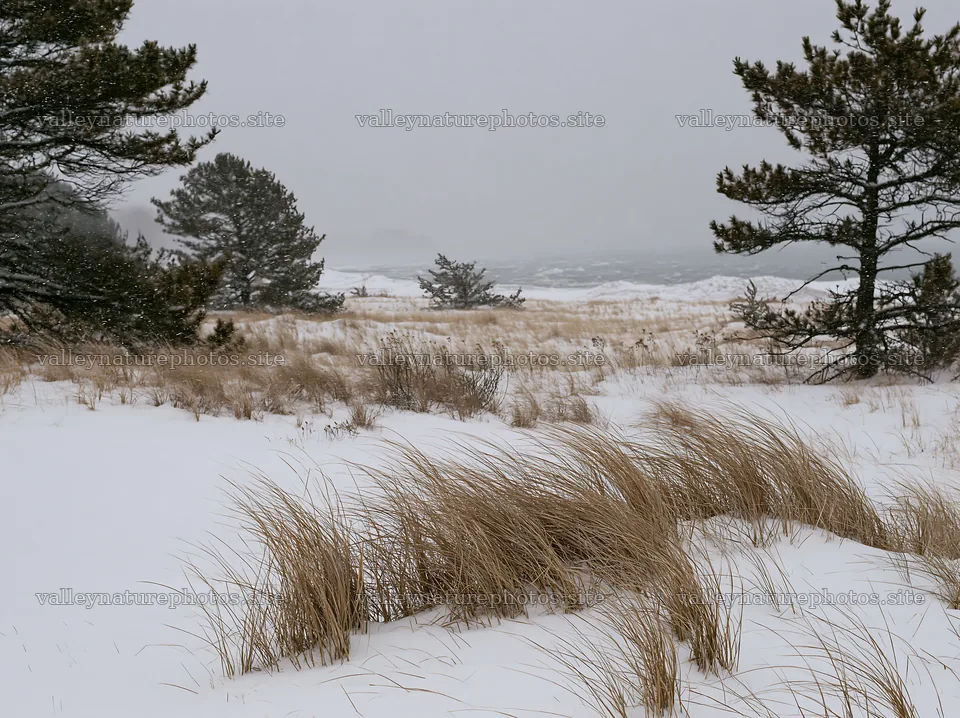 Dune meadow covered in snow during winter season – nature photography 9174x6866