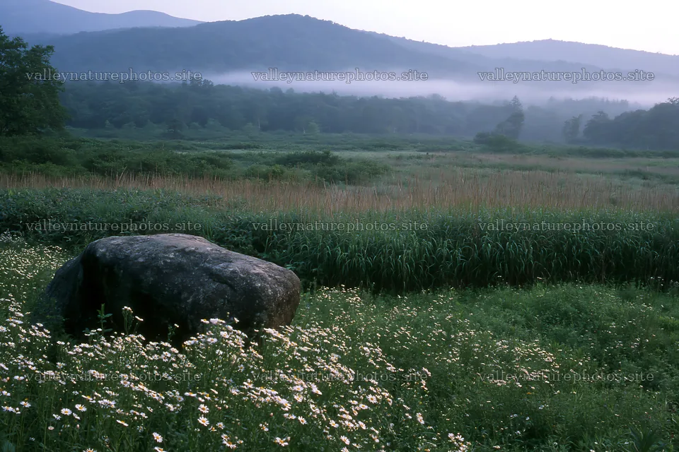 Aomori climate resilient meadow with boulder at dawn – nature photography 9722x6480