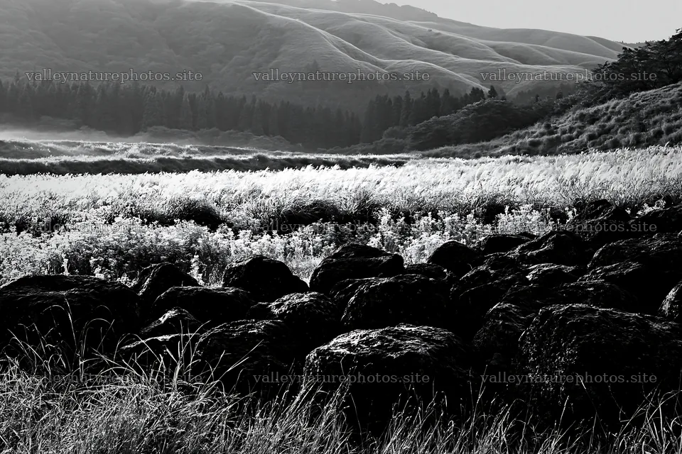 Restored Kumamoto silver grass meadow with boulders – nature photography 9722x6480