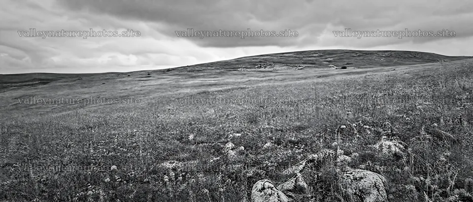 Cloudy dry flower meadow under overcast sky – nature photography 12124x5196
