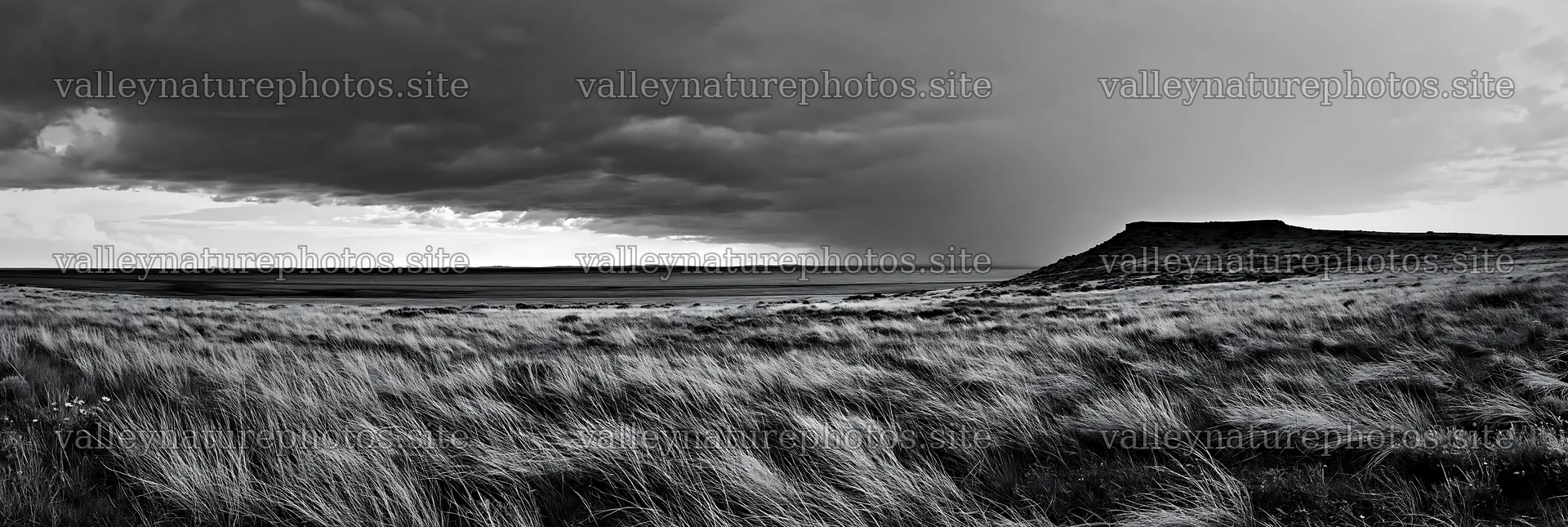 Climate-resilient meadow under dark skies with distant hills – nature photography 13690x4602