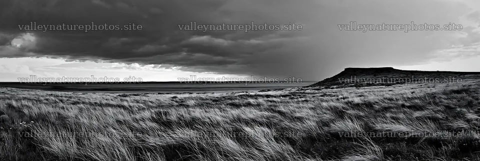 Climate-resilient meadow under dark skies with distant hills – nature photography 13690x4602