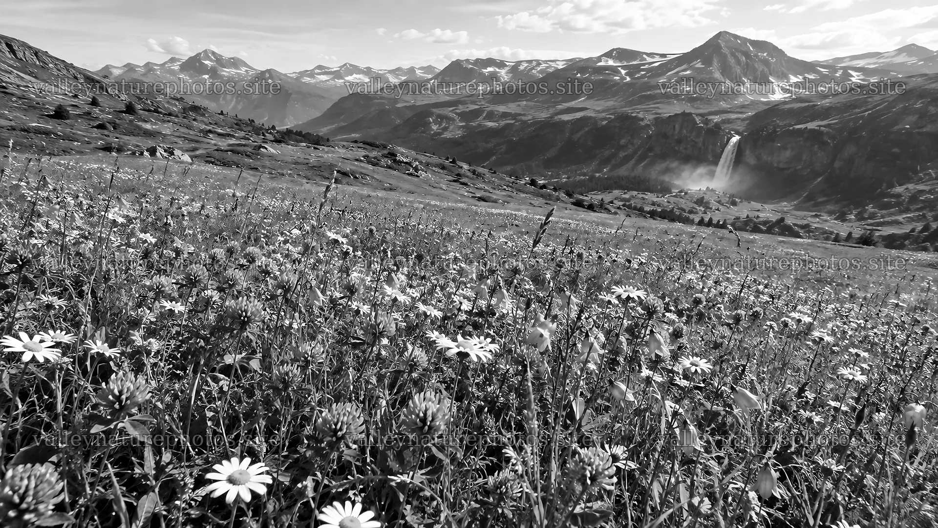 Monochrome Wildflower Meadow and Mountain Waterfall – nature photography 10324x5812