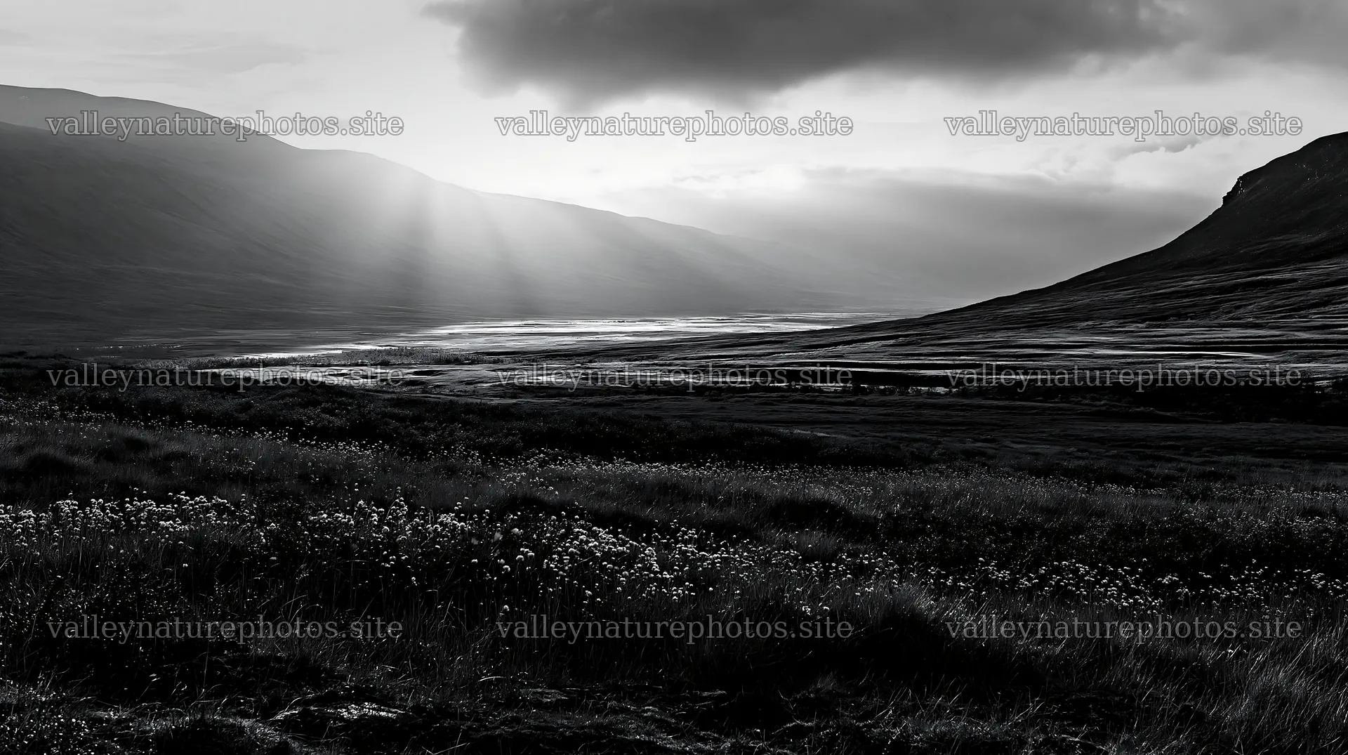 Jotunheimen valley meadow sunbeams create a natural scene – nature photography 10608x5938