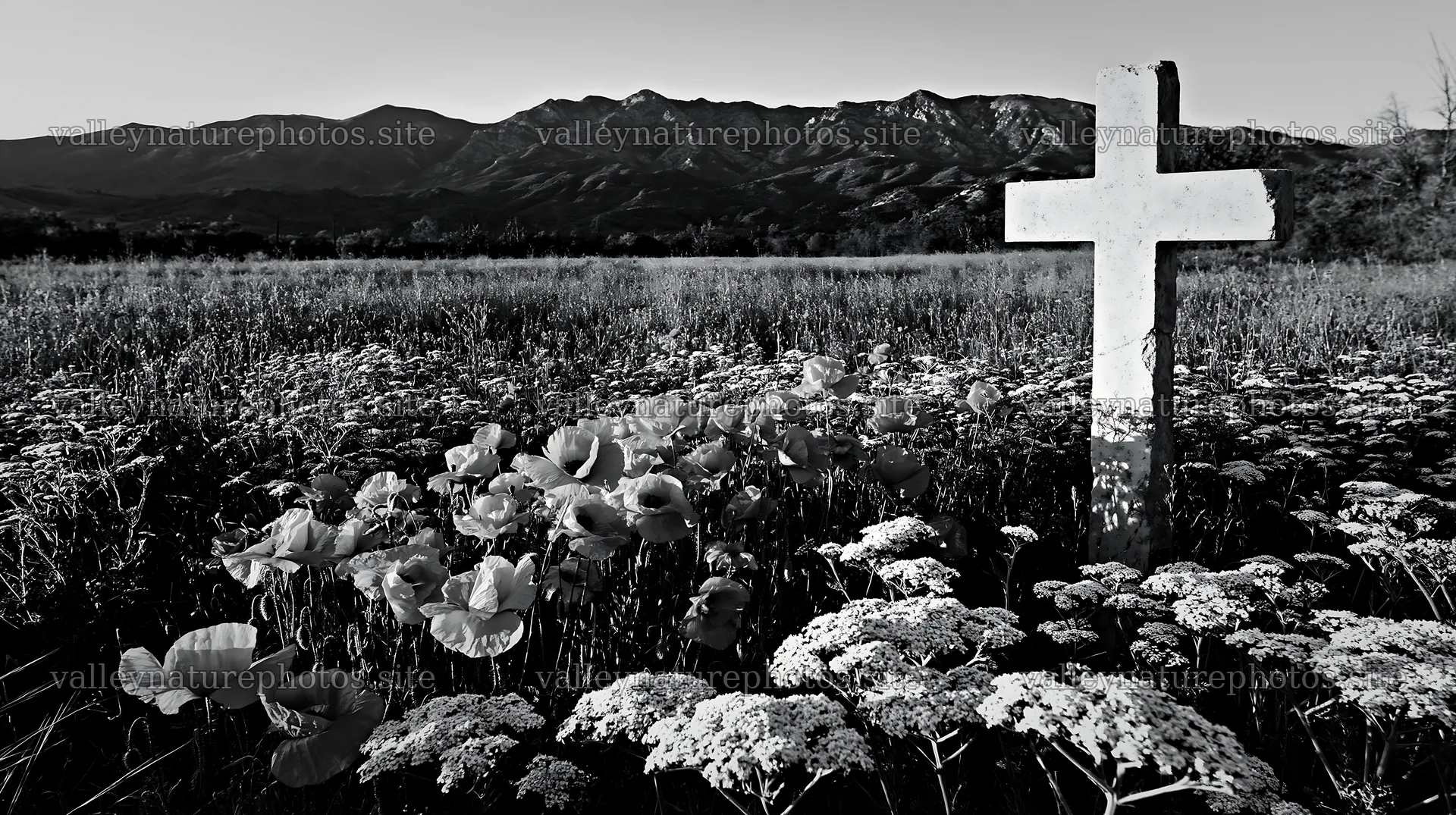 Christian cross in a meadow with flowers and mountains – nature photography 10608x5938