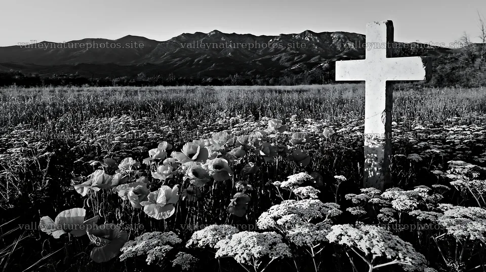 Christian cross in a meadow with flowers and mountains – nature photography 10608x5938