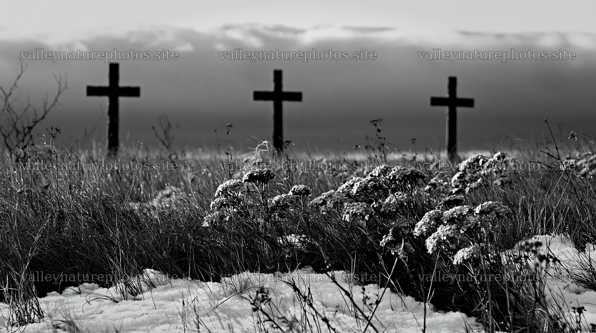Three bronze crosses in a snowy meadow at Christmas – nature photography 10608x5938