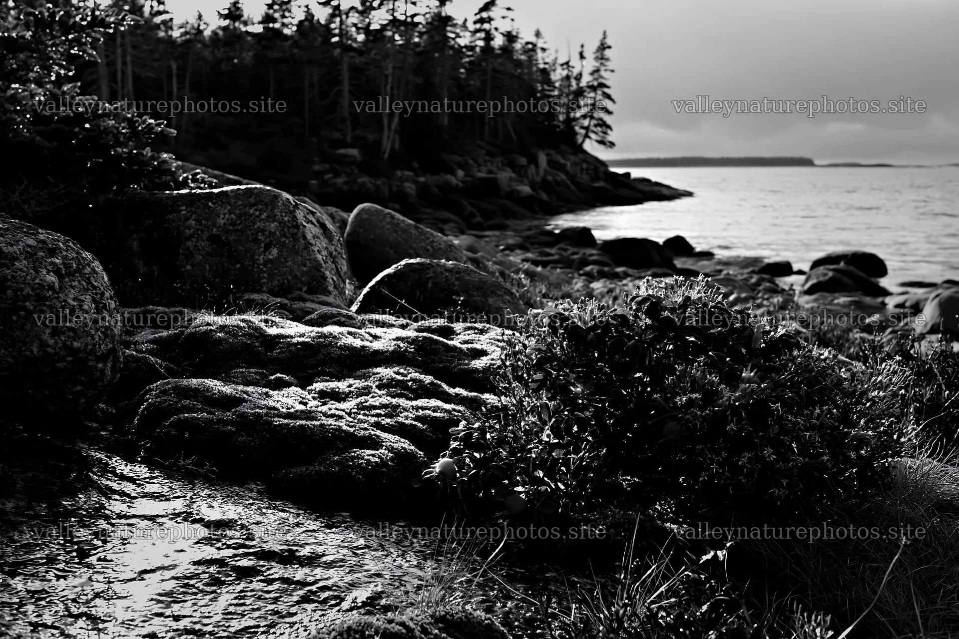 Mossy boulders by the shore in a meadow area – nature photography 9722x6480