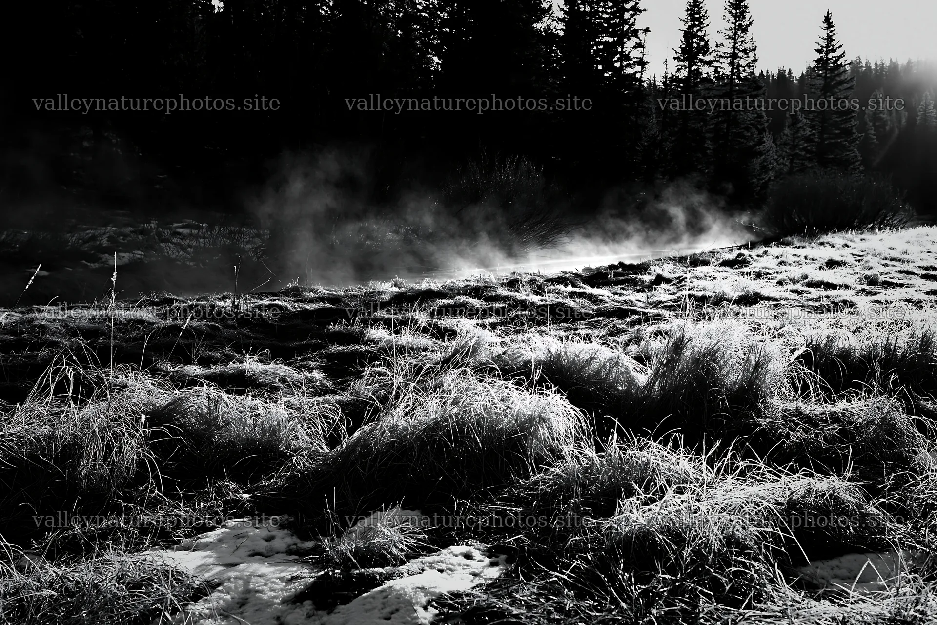 Snowy Rocky Mountain Park meadow with grass and trees – nature photography 9722x6480