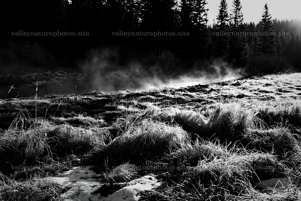 Snowy Rocky Mountain Park meadow with grass and trees – nature photography 9722x6480