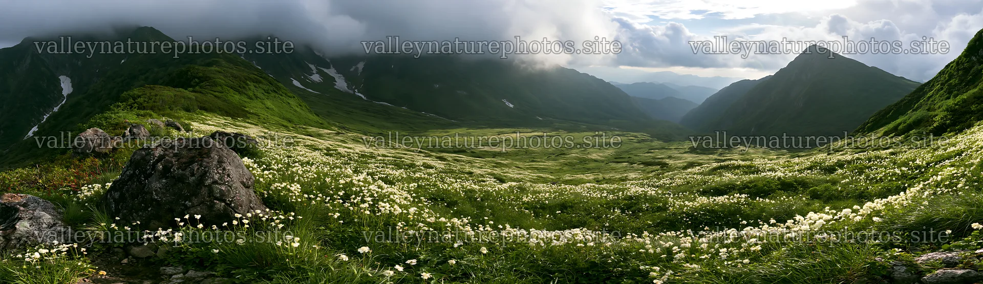 Toyama alpine meadow snowmelt rock foreground with flowers – nature photography 14762x4268