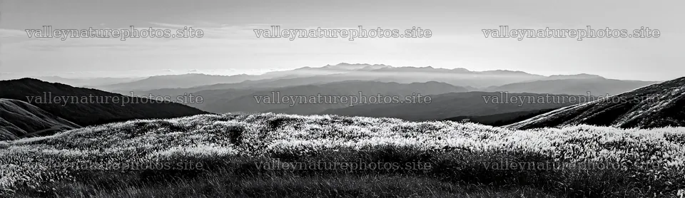 Fukui native grass meadow rain droplets capture – nature photography 14762x4268