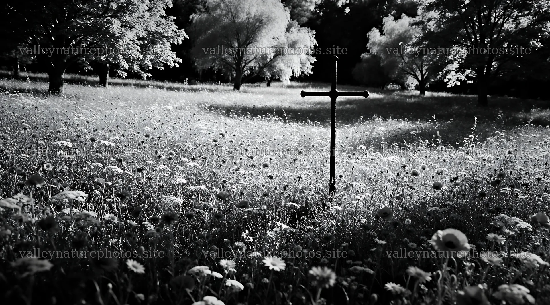 Dark Christian cross in summer meadow with wildflowers – nature photography 10648x5916