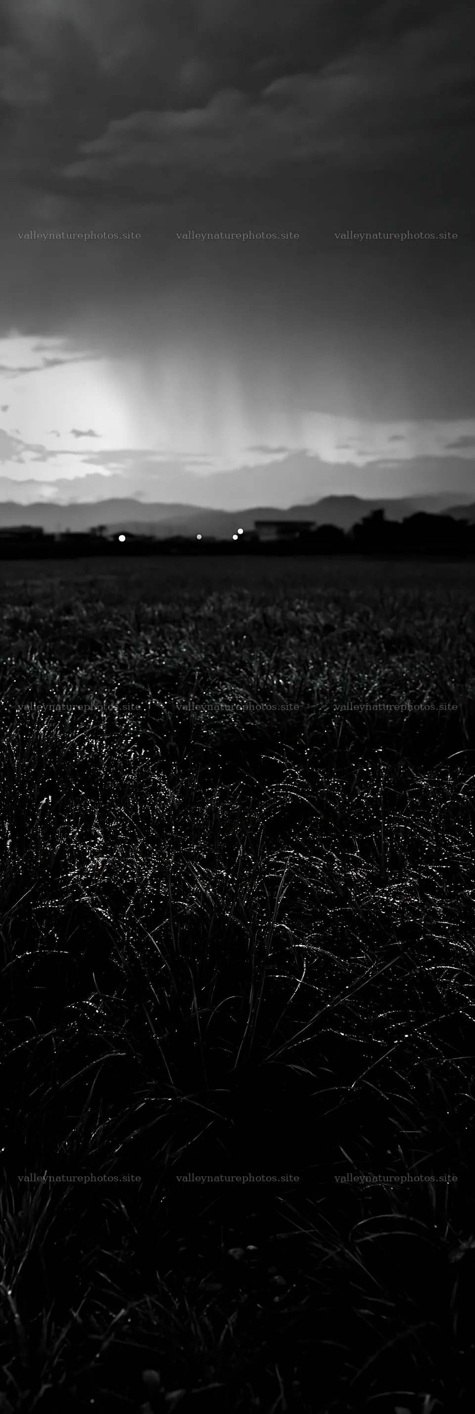 Niigata floodplain restoration meadow dew foreground at dusk – nature photography 4602x13690
