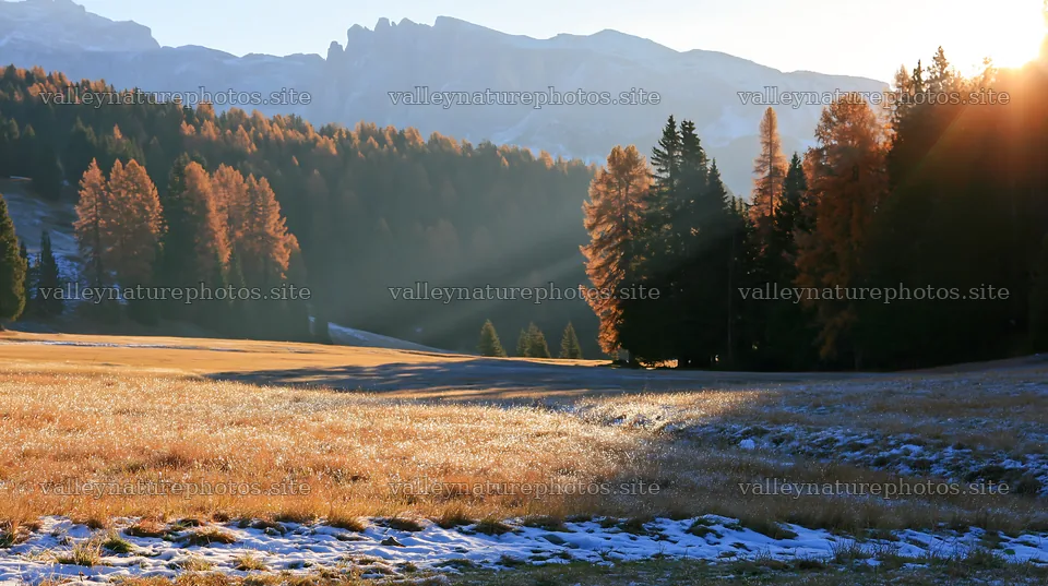 Sunbeams illuminating Alpe di Siusi meadow in autumn – nature photography 10608x5938