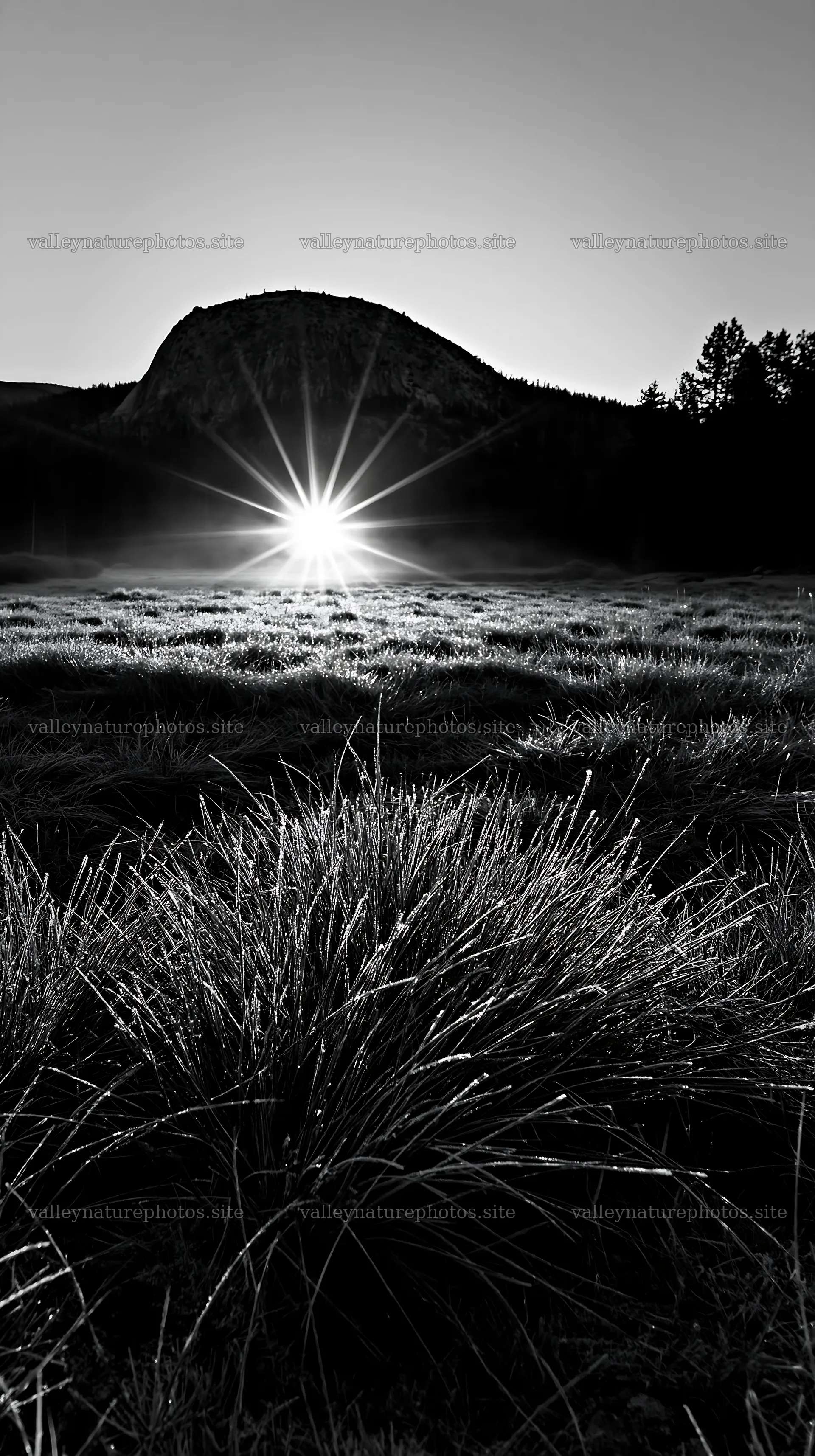 Frosty meadow at sunrise with mountain backdrop – nature photography 5938x10608