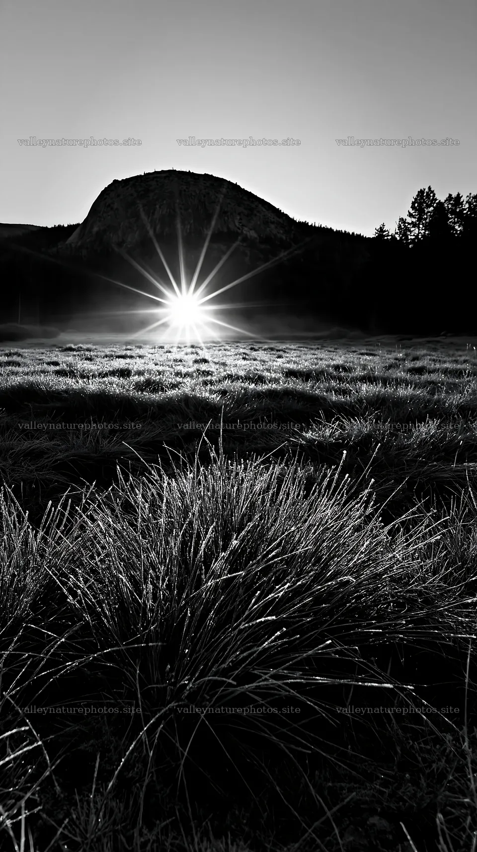 Frosty meadow at sunrise with mountain backdrop – nature photography 5938x10608