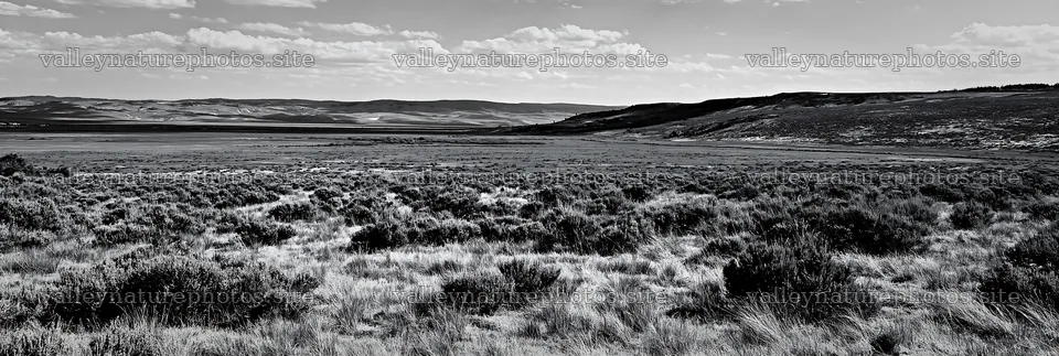 Drought-tolerant meadow with grass and shrubs in open landscape – nature photography 13690x4602