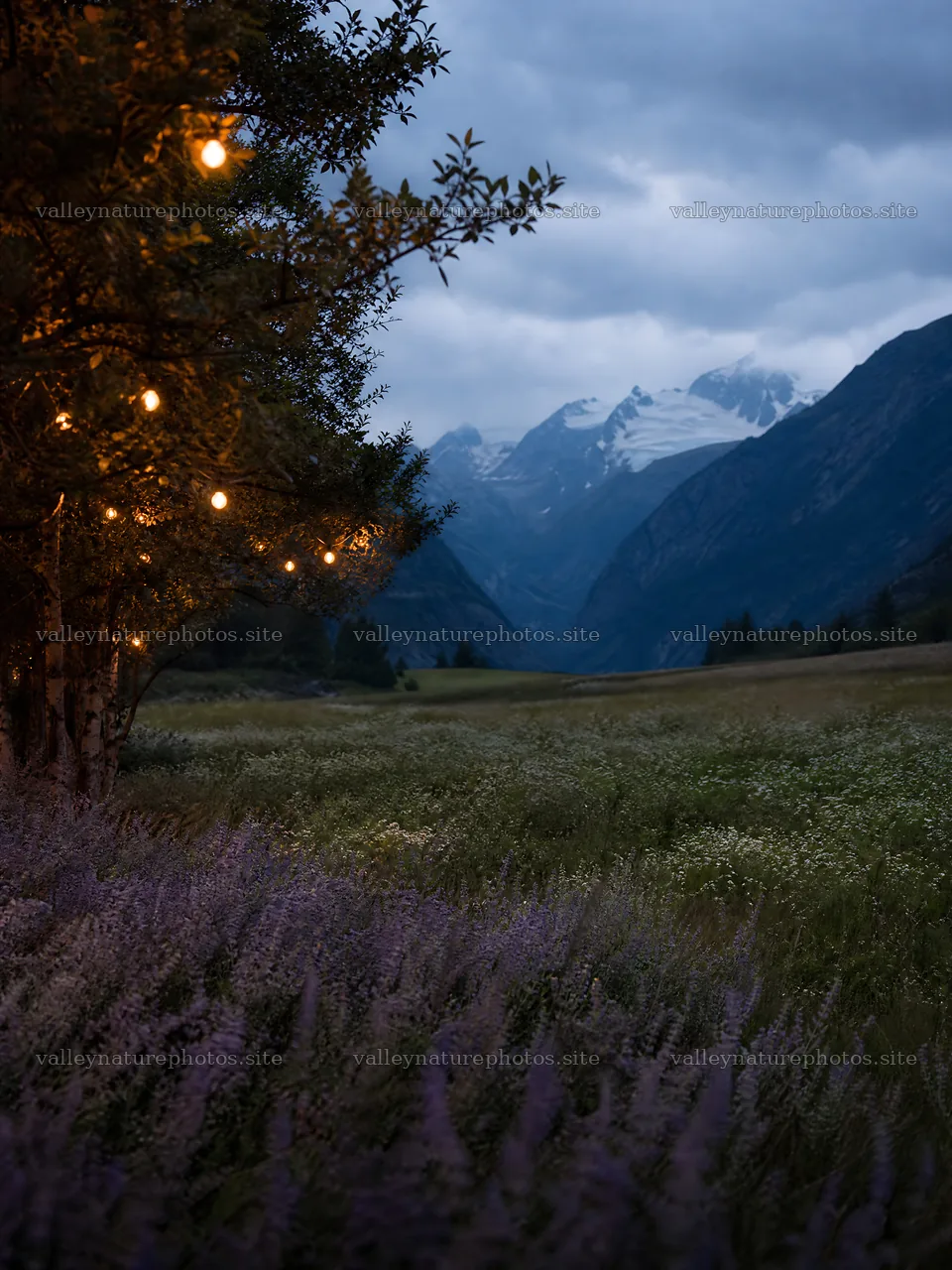 Warm Christmas lights across mountain valley meadow – nature photography 6874x9166