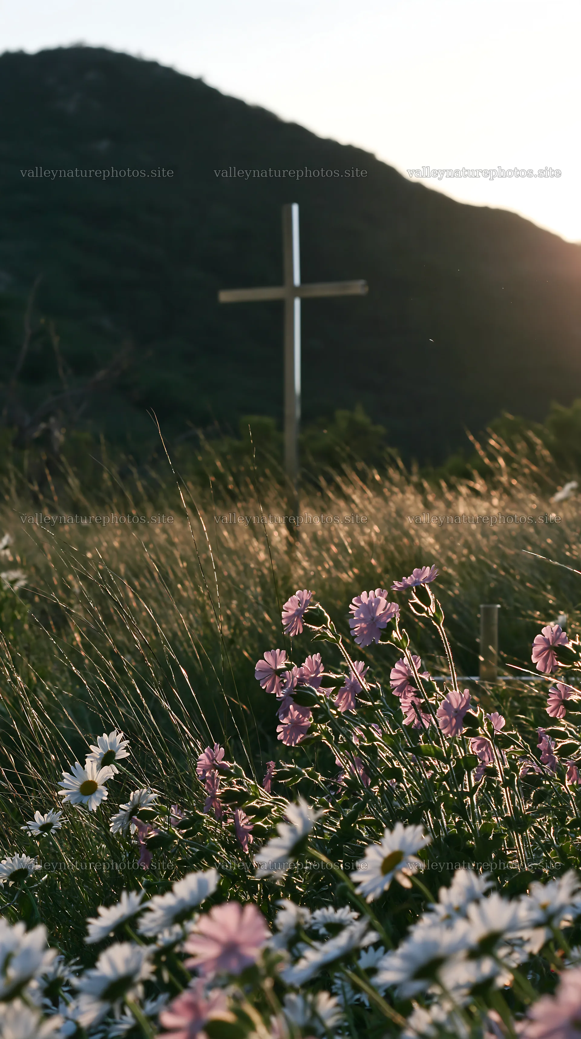 Christian cross in Christmas meadow with flowers – nature photography 5938x10608