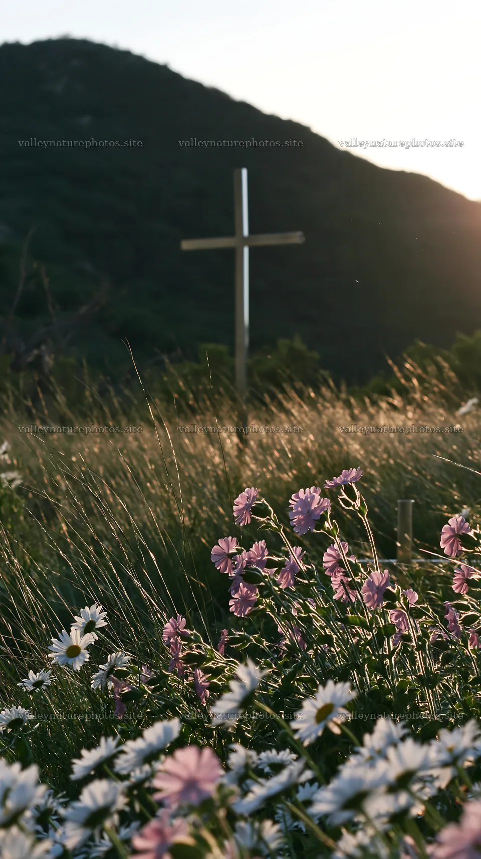 Christian cross in Christmas meadow with flowers – nature photography 5938x10608