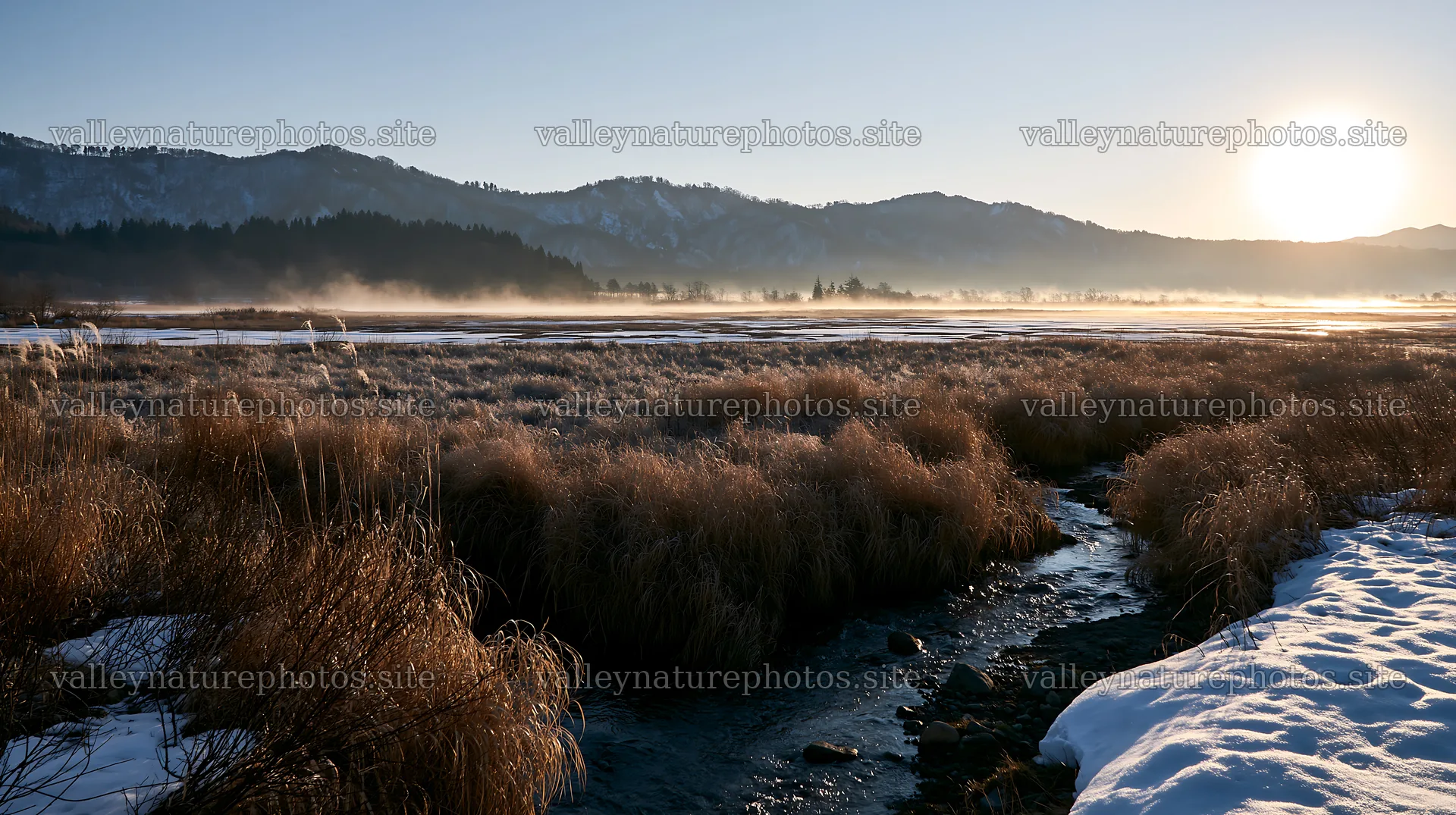 Akita snowmelt meadow with silver grasses during sunrise – nature photography 10608x5938