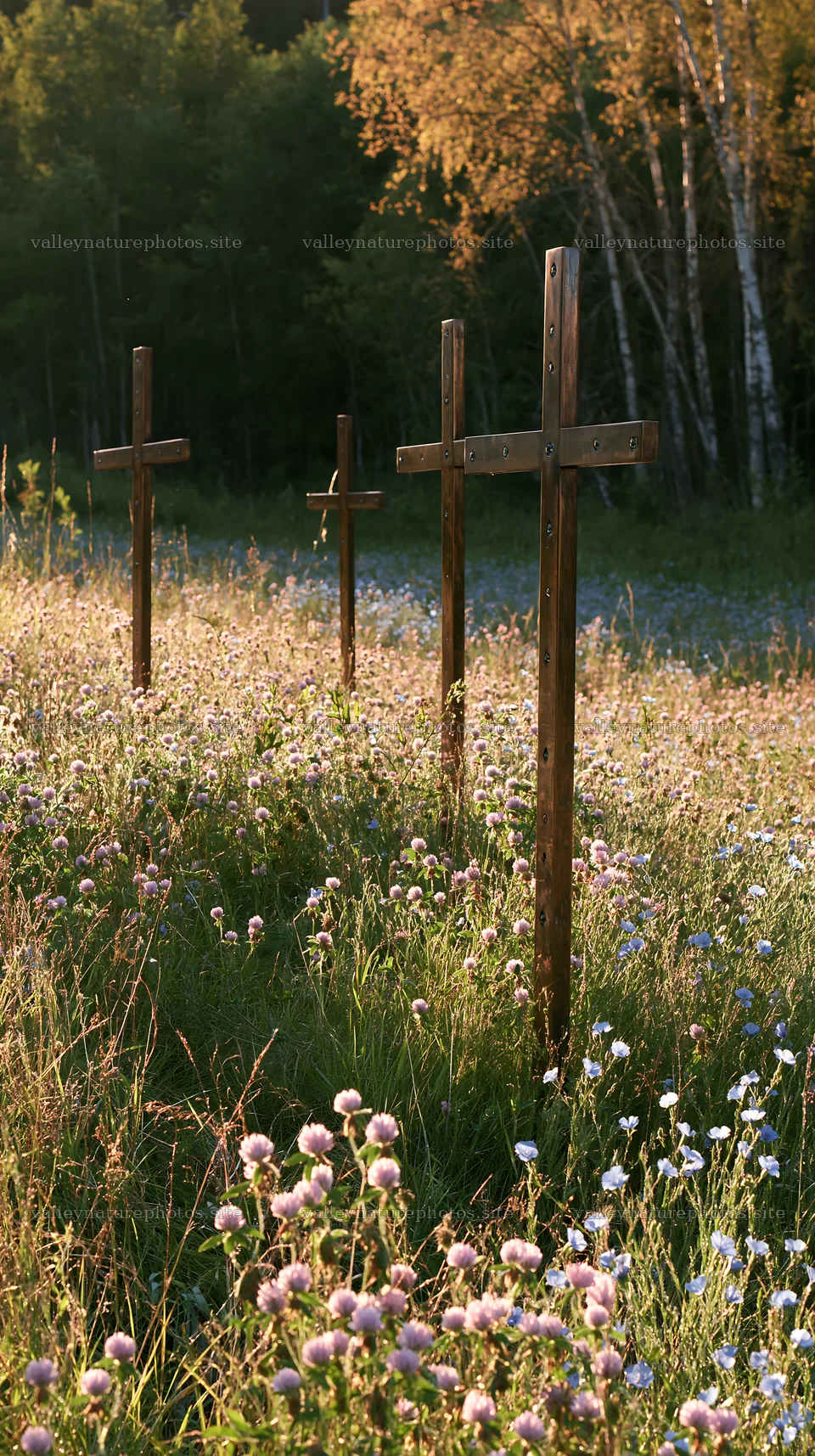 Christian crosses in a meadow with wildflowers – nature photography 5938x10608