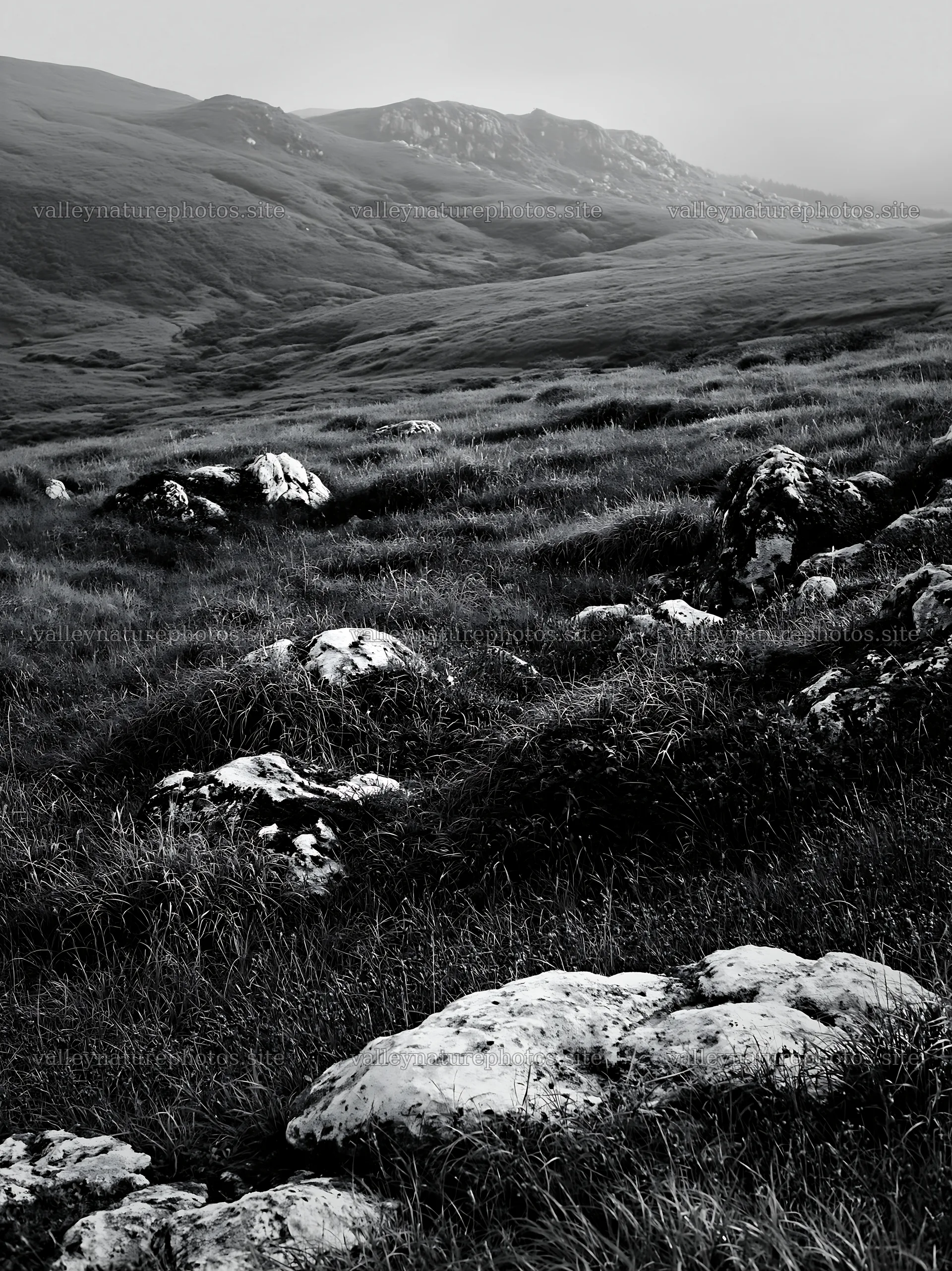 Granite stones in Oita highland meadow – nature photography 6866x9174