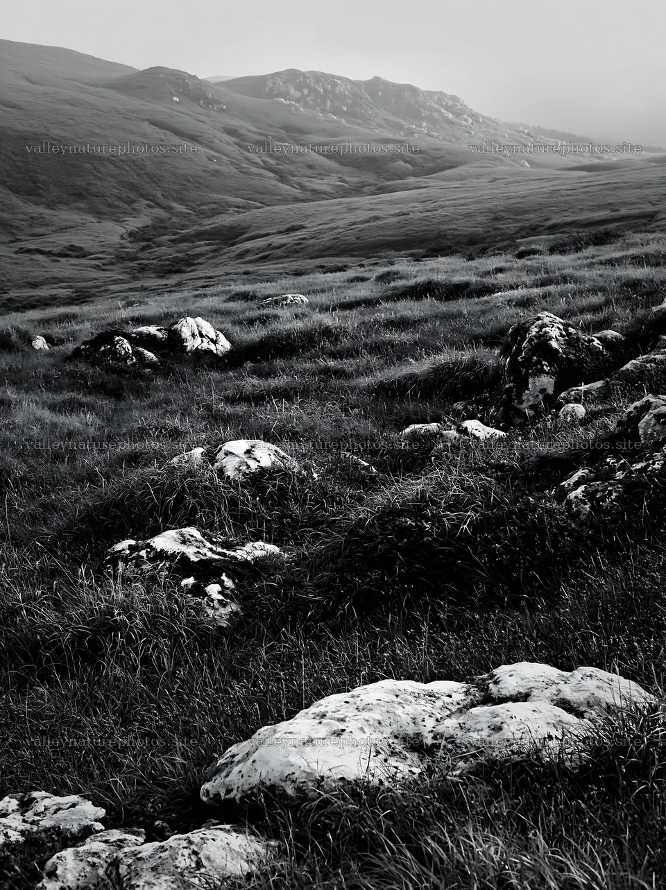 Granite stones in Oita highland meadow – nature photography 6866x9174