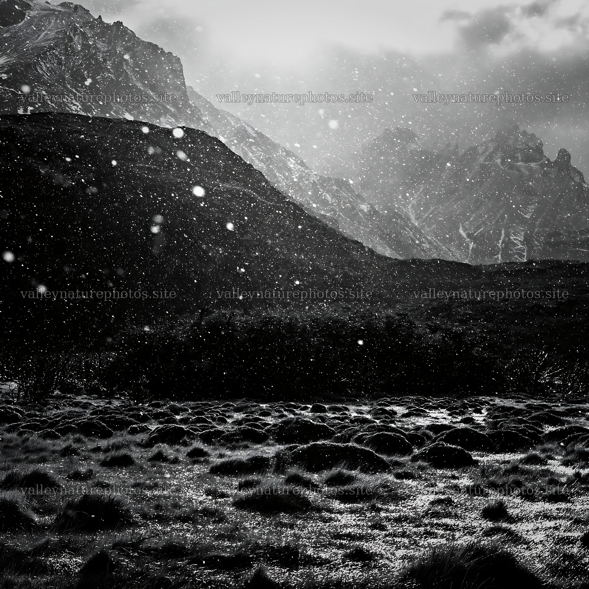 Snow falling in Torres del Paine meadow during winter season – nature photography 7938x7938