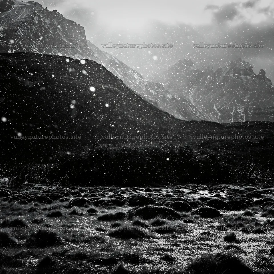 Snow falling in Torres del Paine meadow during winter season – nature photography 7938x7938