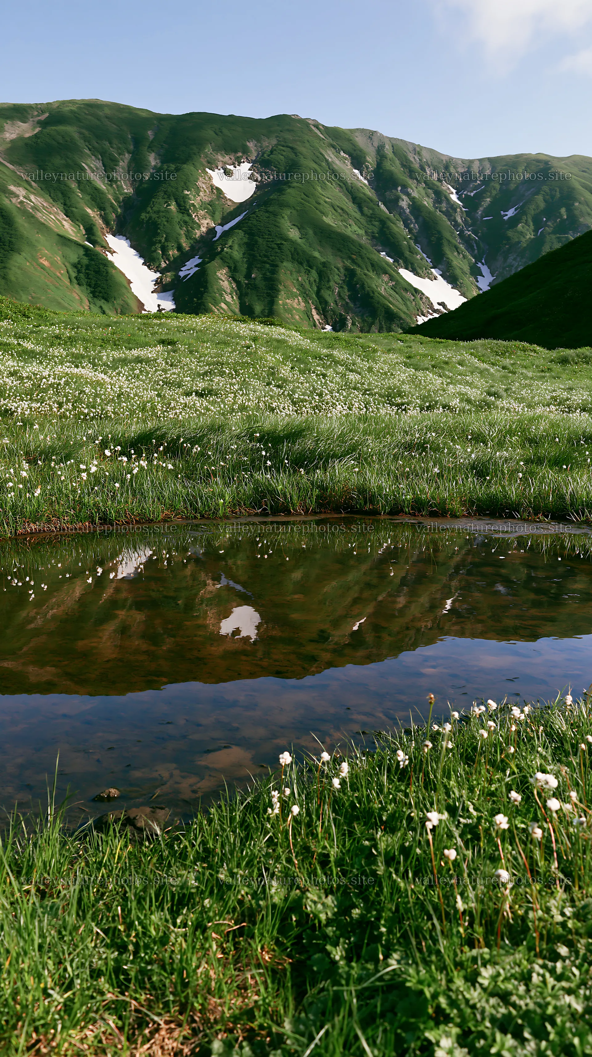 Akita snowmelt meadow with silver grasses and clear water – nature photography 5938x10608