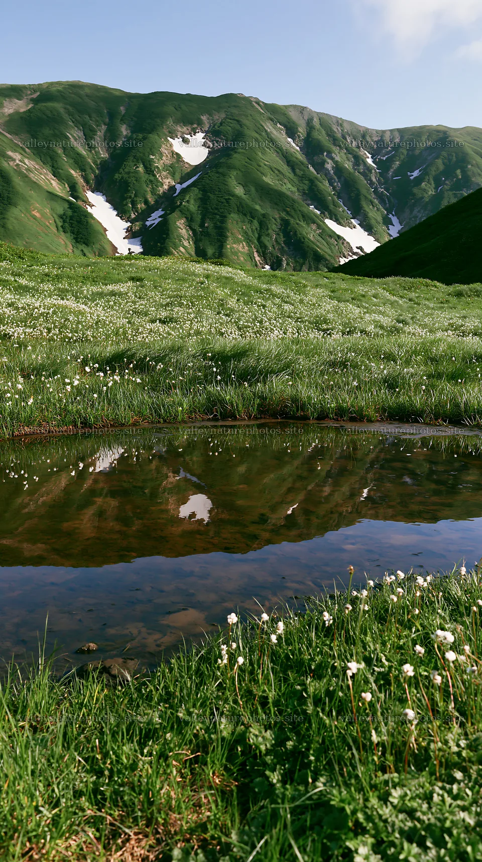 Akita snowmelt meadow with silver grasses and clear water – nature photography 5938x10608